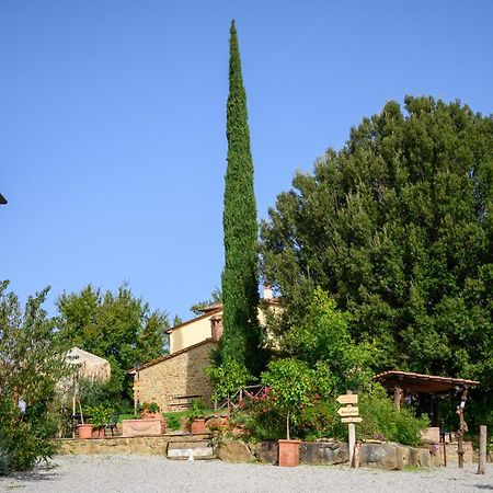 Agriturismo Borgo Sant'Ercolano Ciggiano Εξωτερικό φωτογραφία